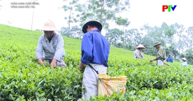 Chân dung cuộc sống - Xứng danh đầu tàu