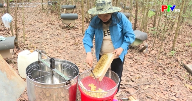 Chắp cánh nông sản