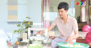 Chế biến các sản phẩm phụ từ bưởi