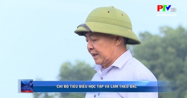 Chi bộ tiêu biểu học tập và làm theo Bác