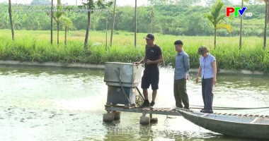 Chìa khóa nâng cao hiệu quả nuôi trồng thủy sản