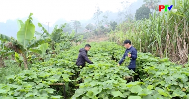 Chính sách dân tộc - Đòn bẩy giúp người dân thoát nghèo