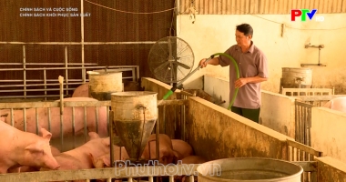 Chính sách khôi phục sản xuất