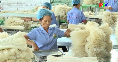 Chính sách nâng tầm thương hiệu Việt