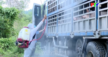 Chống buôn lậu hàng giả, bảo vệ người tiêu dùng ngày 14-8-2025