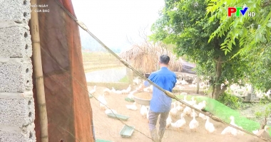 Chữ "Cần" của Bác