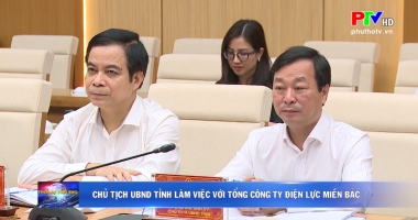 Chủ tịch UBND tỉnh làm việc với Tổng Công ty Điện lực Miền Bắc