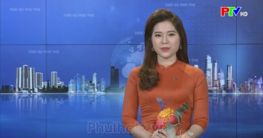 Chương trình thời sự ngày 29-11-2021