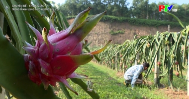 Chuyên đề khoa giáo ngày 28-9-2025