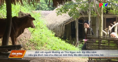 Chuyên đề tiếng Mường - Mo Mường