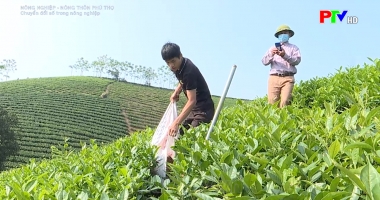 Chuyển đổi số trong nông nghiệp