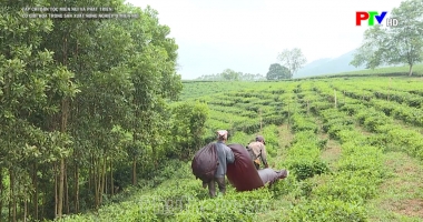 Cơ giới hóa trong sản xuất nông nghiệp miền núi