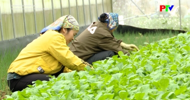 Cơ hội mới cho kinh tế nông thôn