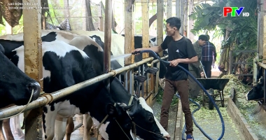 Cơ hội việc làm - Chìa khóa tái hòa nhập