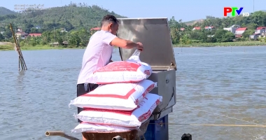 Công nghệ cao với nông sản vụ Tết