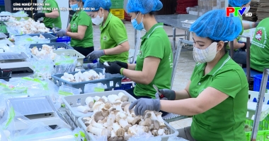 Công nghiệp thương mại - Doanh nghiệp làm trung tâm, hiệu quả làm thước đo