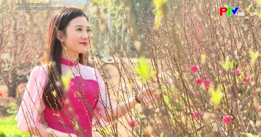 Công nghiệp và thương mại - Sôi động thị trường hoa cây cảnh ngày Tết