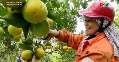 Công nghiệp và thương mại - Thành công từ thương hiệu