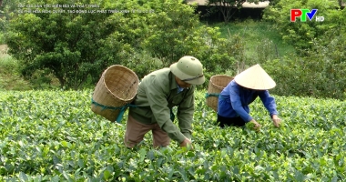 Cụ thể hóa Nghị quyết - Tạo động lực phát triển kinh tế từ cơ sở