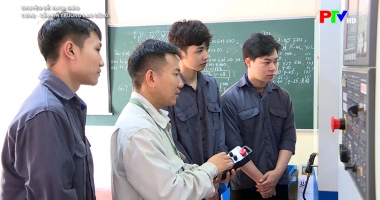 Cung - cầu thị trường lao động