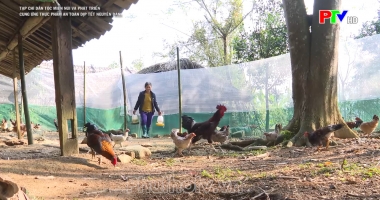 Cung ứng thực phẩm an toàn dịp Tết Nguyên Đán