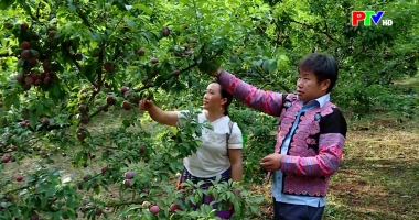 Cuộc sống thường ngày 01-06-2026
