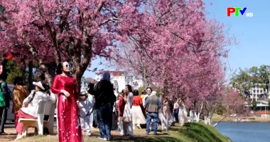 Cuộc sống thường ngày 05-02-2026