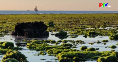 Cuộc sống thường ngày 05-3-2026