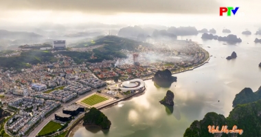 Cuộc sống thường ngày 06-02-2026