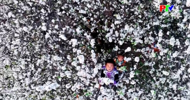 Cuộc sống thường ngày 07-03-2026