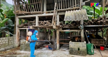 Cuộc sống thường ngày 09-05-2026