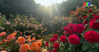 Cuộc sống thường ngày 10-03-2026