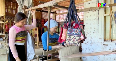 Cuộc sống thường ngày 11-12-2025