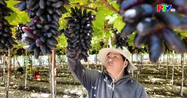 Cuộc sống thường ngày 13-12-2025