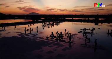 Cuộc sống thường ngày 14-1-2026