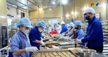 Cuộc sống thường ngày 19-1-2026