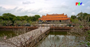 Cuộc sống thường ngày 20-4-3026