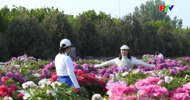 Cuộc sống thường ngày 25-4-3026