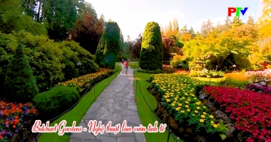 Cuộc sống thường ngày 26-02-2026