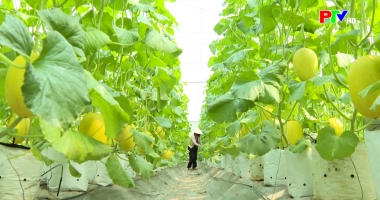 Cuộc sống thường ngày 28-3-3026