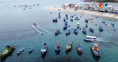 Cuộc sống thường ngày 29-4-3026