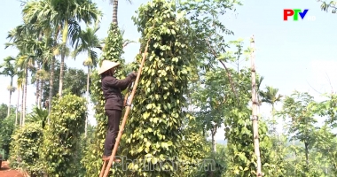 Cuộc sống thường ngày 29-7-2026