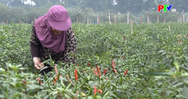 Cuộc sống thường ngày 30-01-2026