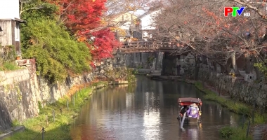 Cuộc sống thường ngày 30-12-2025