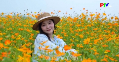 Cuộc sống thường ngày 30-7-2026
