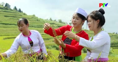 Cuộc sống thường ngày 5-1-2026