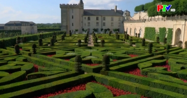 Cuộc sống thường ngày 6-4-3026