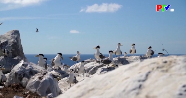 Cuộc sống thường ngày 7-12-2025