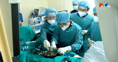 Cuộc sống thường ngày 8-12-2025