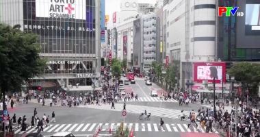 Cuộc sống thường ngày 9-11-2025